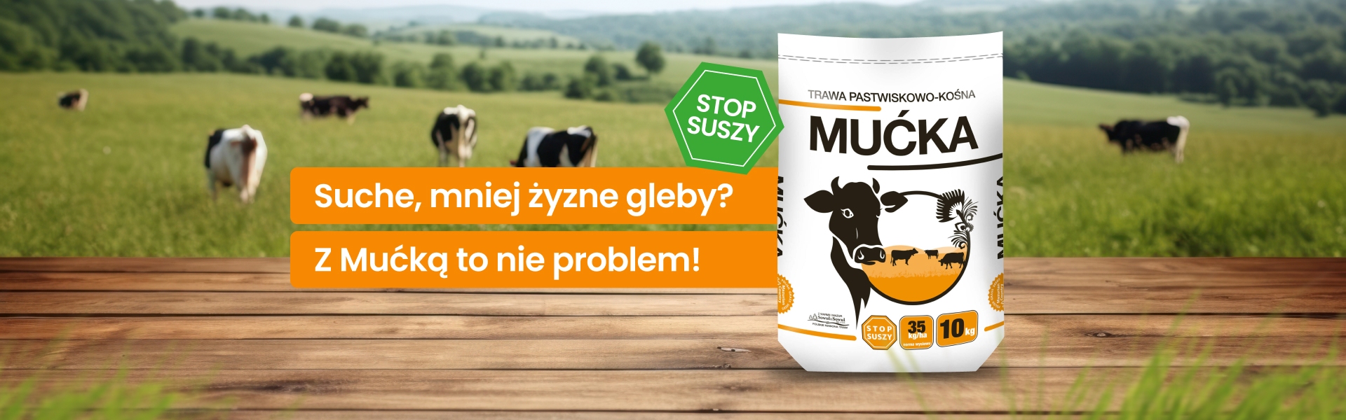 Baner strony głównej