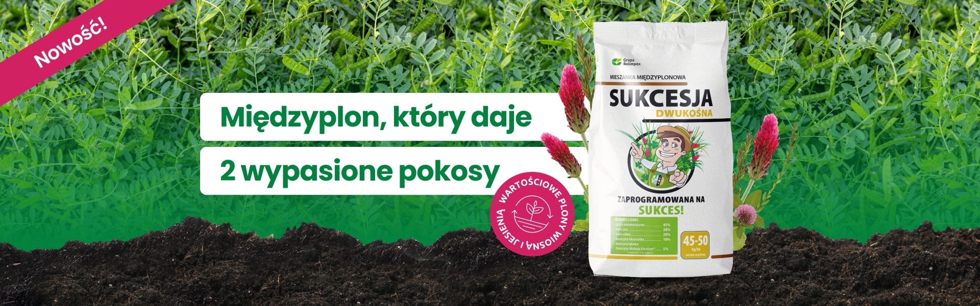 Baner strony głównej