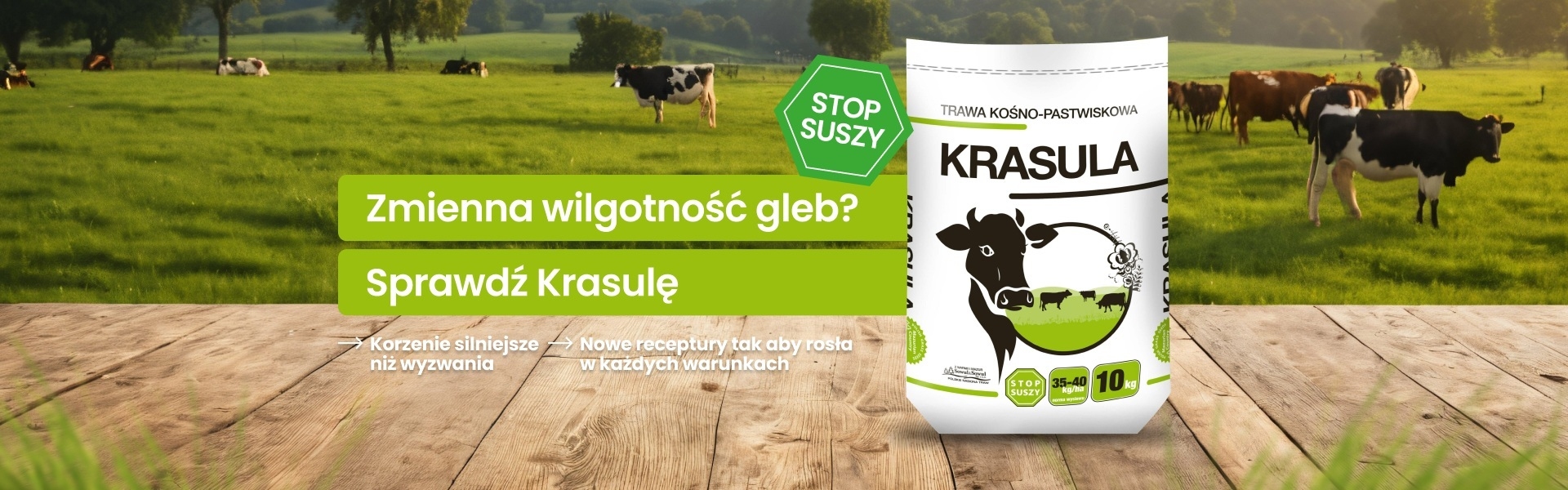 Baner strony głównej