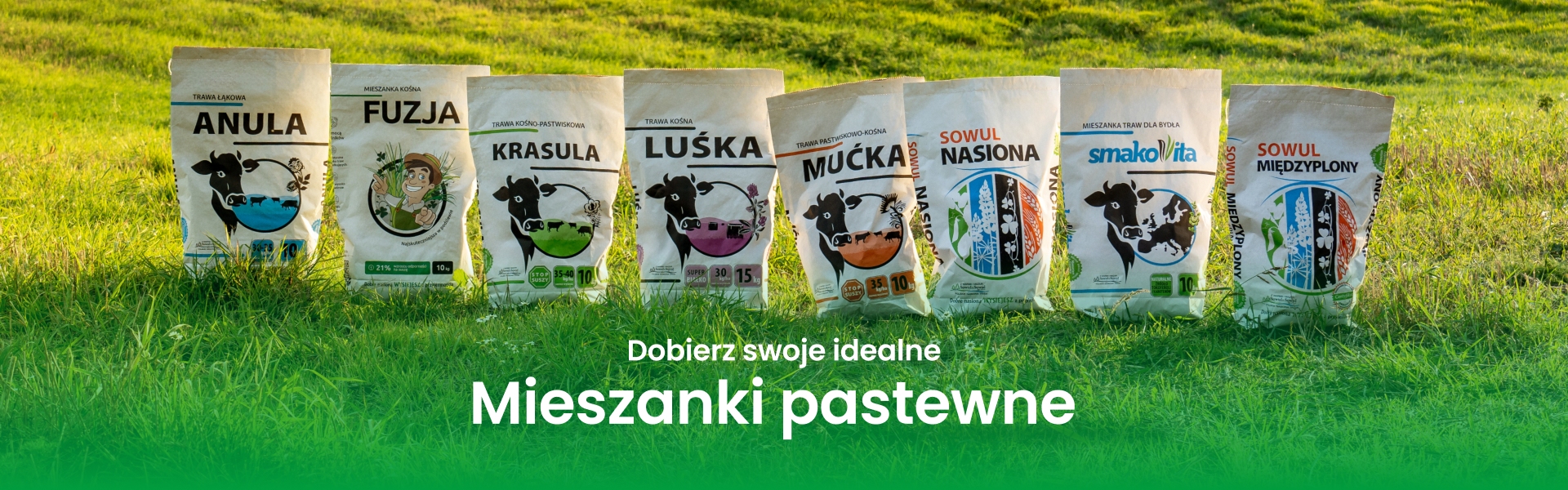 Baner strony głównej