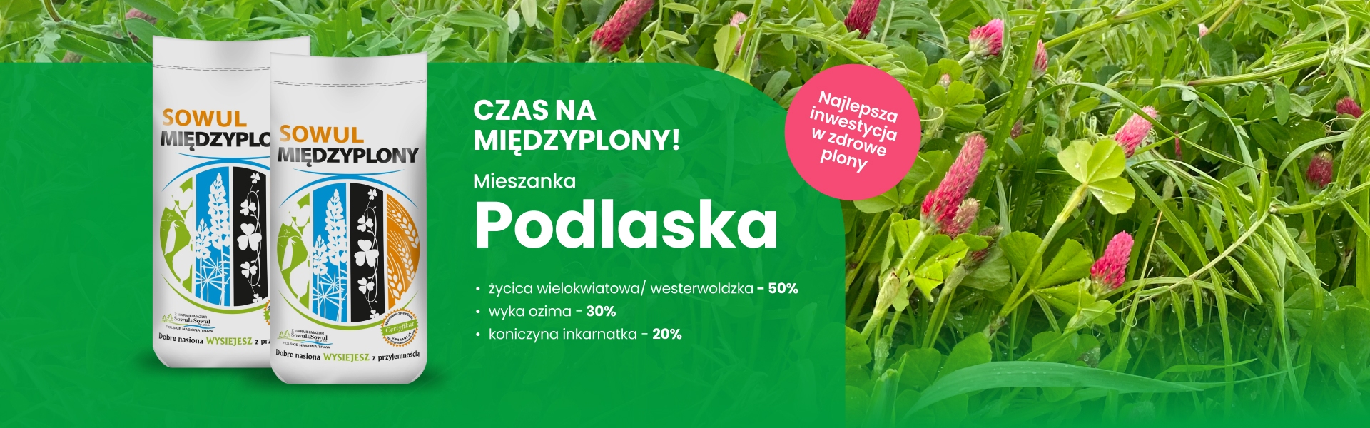 Baner strony głównej
