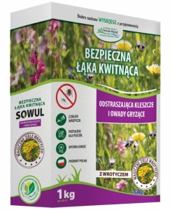 Mieszanka traw Bezpieczna Łąka Kwitnąca 1 kg